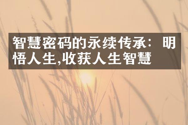 智慧密码的永续传承：明悟人生,收获人生智慧