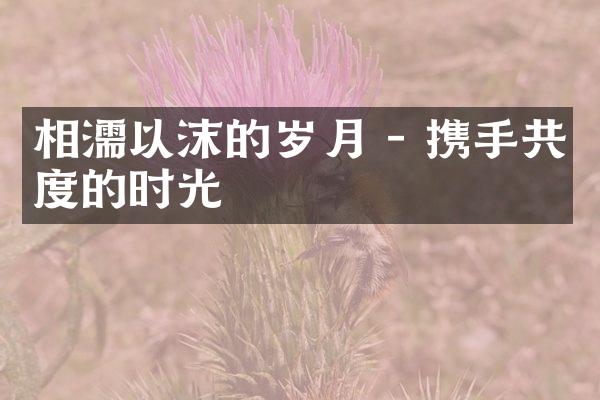 相濡以沫的岁月 - 携手共度的时光