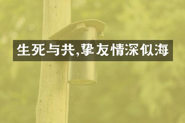 生死与共,挚友情深似海