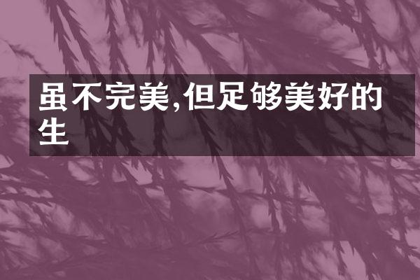虽不完美,但足够美好的人生