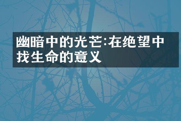 幽暗中的光芒:在绝望中寻找生命的意义
