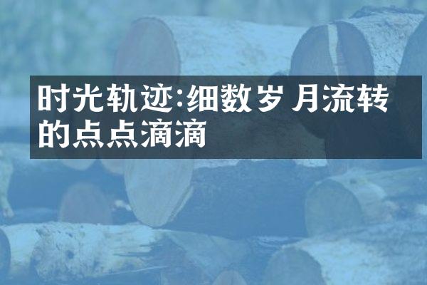 时光轨迹:细数岁月流转中的点点滴滴