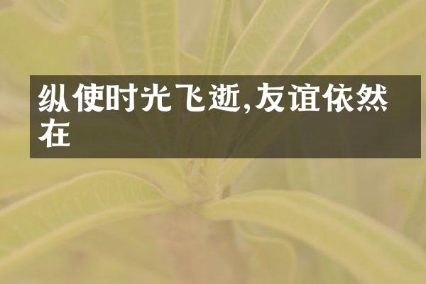 纵使时光飞逝,友谊依然常在
