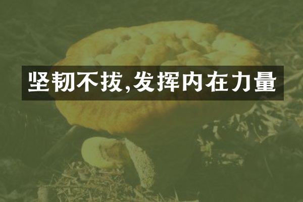 坚韧不拔,发挥内在力量