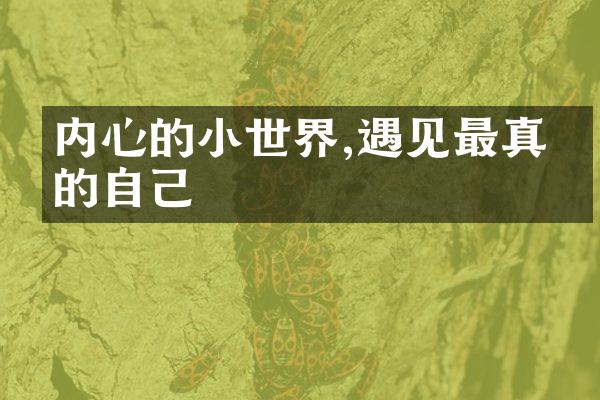 内心的小世界,遇见最真挚的自己
