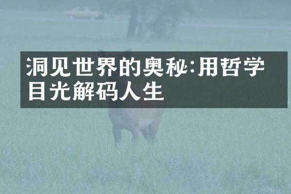 洞见世界的奥秘:用哲学的目光解码人生