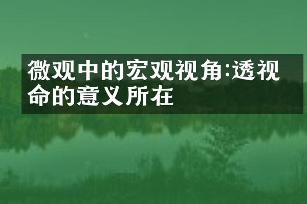 微观中的宏观视角:透视生命的意义所在