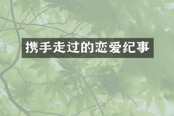 携手走过的恋爱纪事