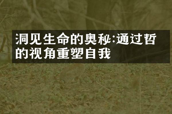 洞见生命的奥秘:通过哲学的视角重塑自我