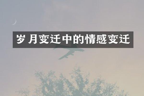 岁月变迁中的情感变迁