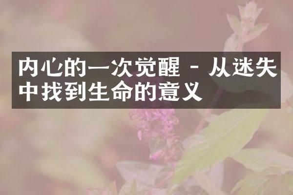 内心的一次觉醒 - 从迷失中找到生命的意义