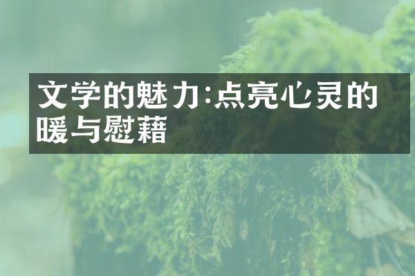 文学的魅力:点亮心灵的温暖与慰藉