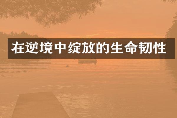 在逆境中绽放的生命韧性