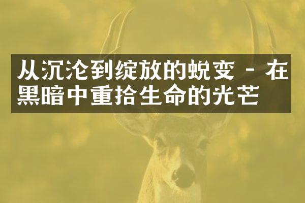 从沉沦到绽放的蜕变 - 在黑暗中重拾生命的光芒