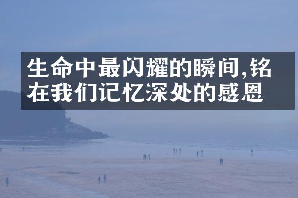 生命中最闪耀的瞬间,铭刻在我们记忆深处的感恩
