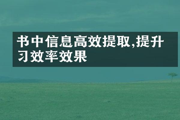 书中信息高效提取,提升学效率效果