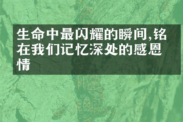 生命中最闪耀的瞬间,铭刻在我们记忆深处的感恩之情