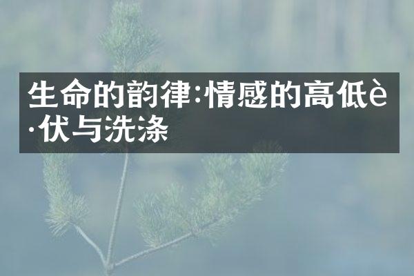 生命的韵律:情感的高低起伏与洗涤