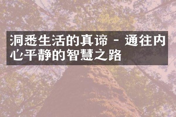 洞悉生活的真谛 - 通往内心平静的智慧之路