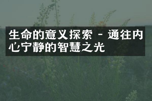 生命的意义探索 - 通往内心宁静的智慧之光