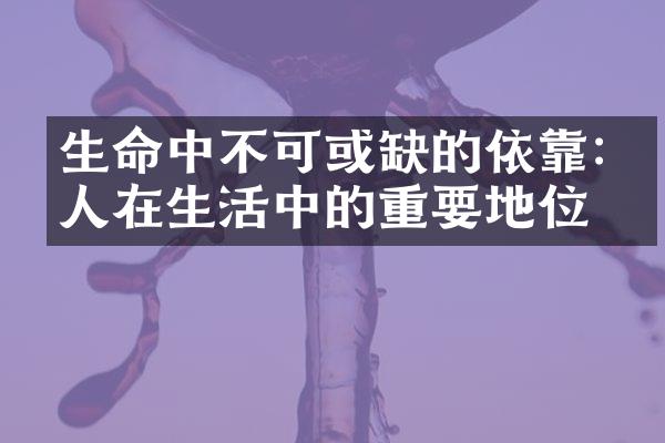 生命中不可或缺的依靠:家人在生活中的重要地位
