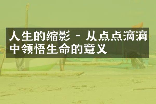 人生的缩影 - 从点点滴滴中领悟生命的意义