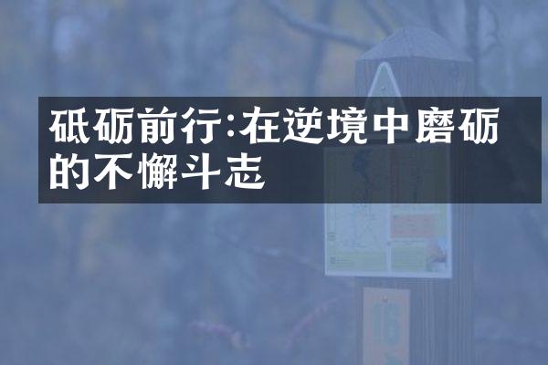 砥砺前行:在逆境中磨砺出的不懈斗志