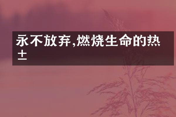 永不放弃,燃烧生命的热忱