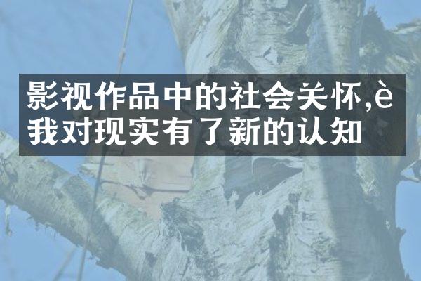 影视作品中的社会关怀,让我对现实有了新的认知