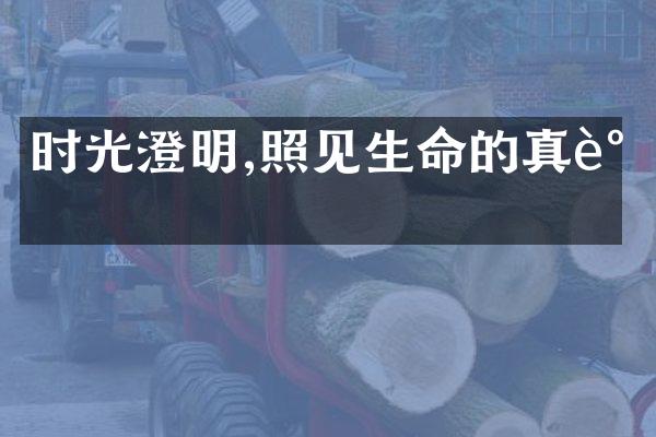 时光澄明,照见生命的真谛