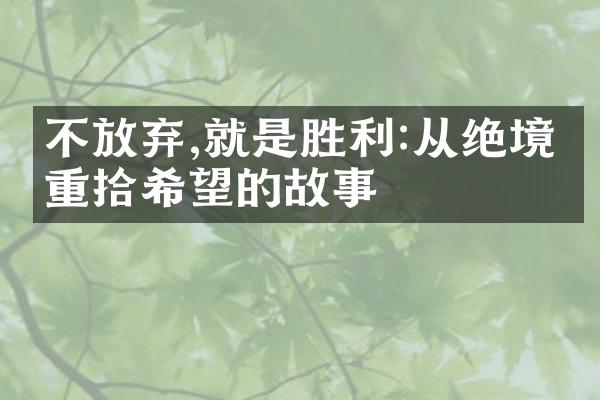 不放弃,就是胜利:从绝境中重拾希望的故事