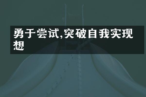 勇于尝试,突破自我实现理想