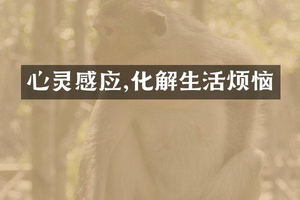 心灵感应,化解生活烦恼