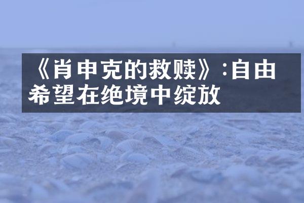 《肖申克的救赎》:自由与希望在绝境中绽放