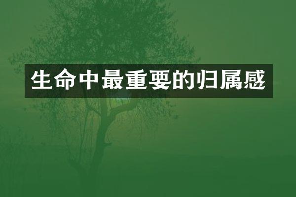 生命中最重要的归属感