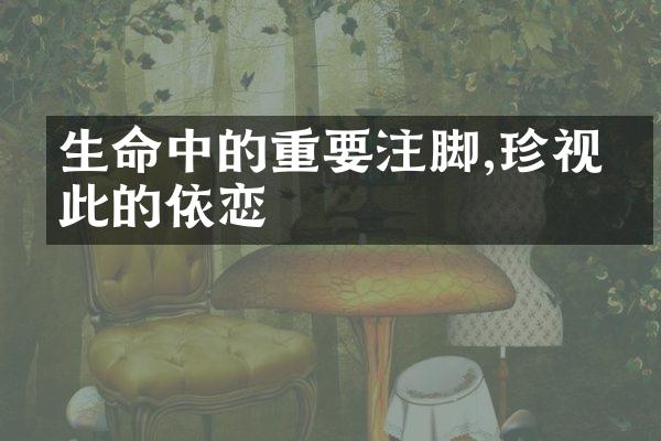 生命中的重要注脚,珍视彼此的依恋