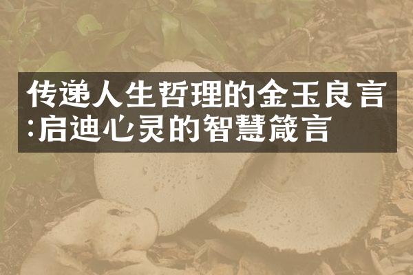 传递人生哲理的金玉良言:启迪心灵的智慧箴言