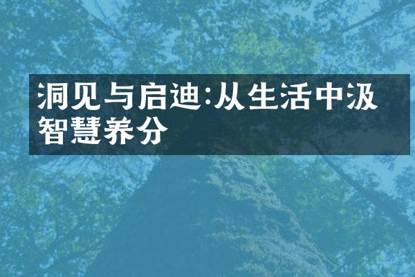 洞见与启迪:从生活中汲取智慧养分