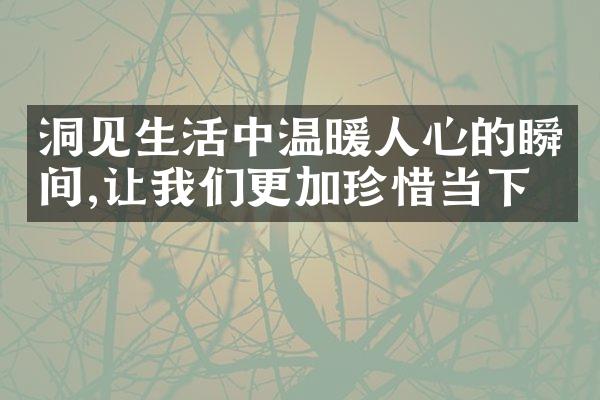 洞见生活中温暖人心的瞬间,让我们更加珍惜当下