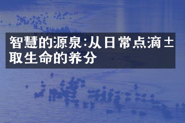 智慧的源泉:从日常点滴汲取生命的养分