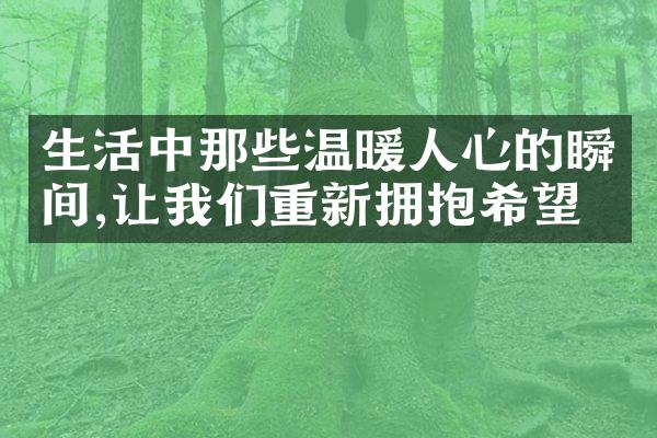 生活中那些温暖人心的瞬间,让我们重新拥抱希望