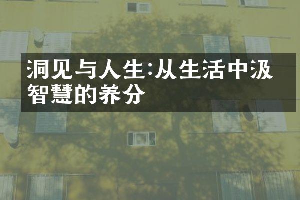 洞见与人生:从生活中汲取智慧的养分