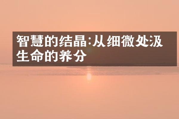智慧的结晶:从细微处汲取生命的养分