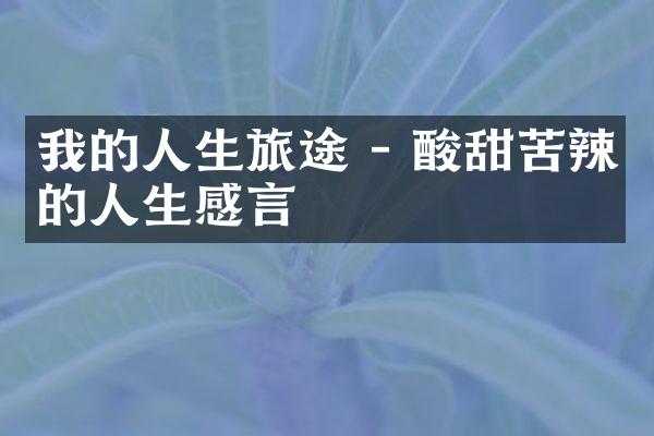 我的人生旅途 - 酸甜苦辣的人生感言