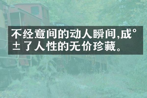 不经意间的动人瞬间,成就了人性的无价珍藏。