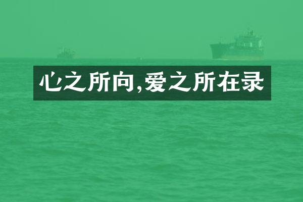心之所向,爱之所在录