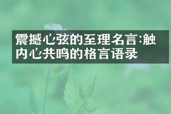 震撼心弦的至理名言:触发内心共鸣的格言语录