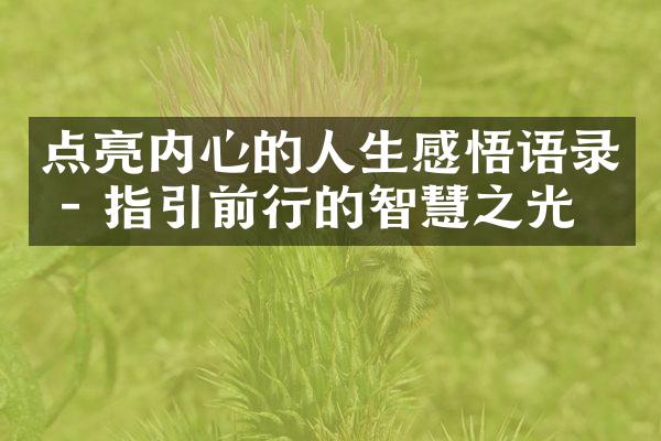 点亮内心的人生感悟语录 - 指引前行的智慧之光