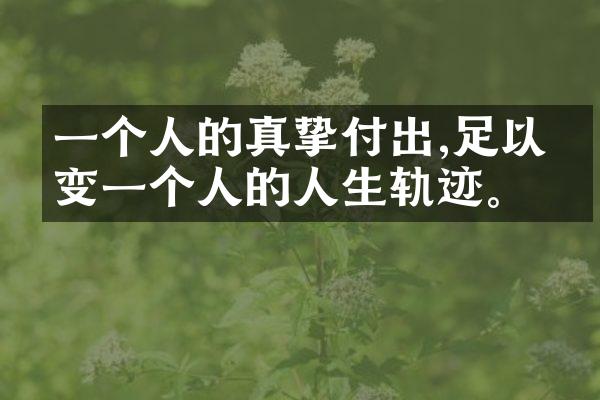 一个人的真挚付出,足以改变一个人的人生轨迹。
