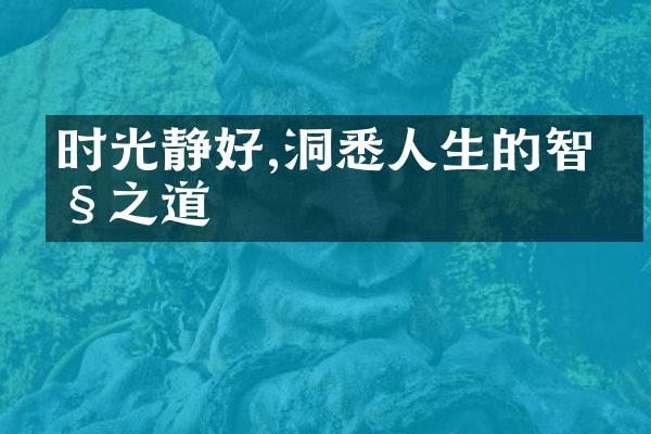 时光静好,洞悉人生的智慧之道